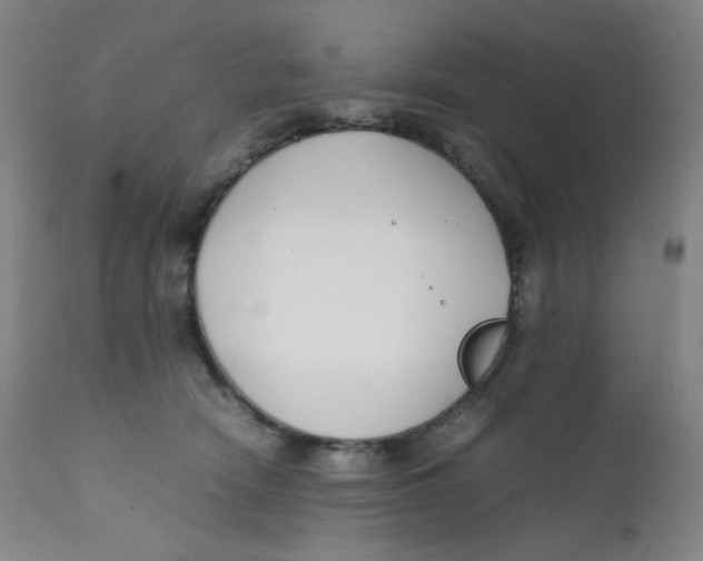 X0000112170466200909041155