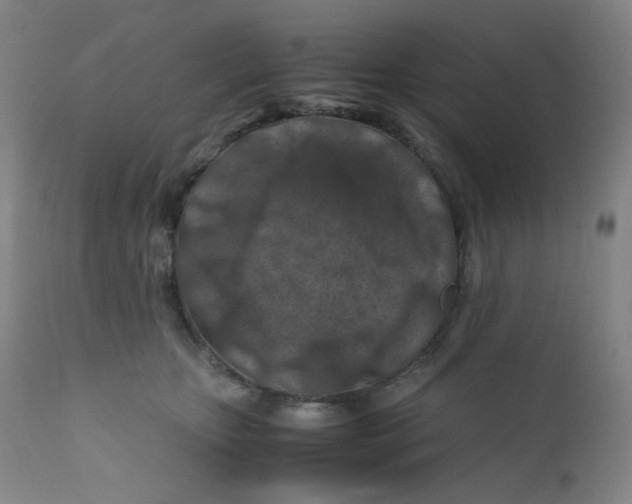 X0000112170467200909041155