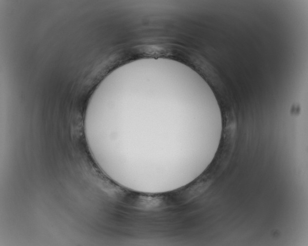 X0000112170469200909041155