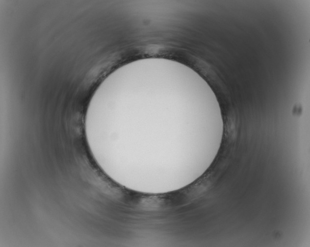 X0000112170470200909041155