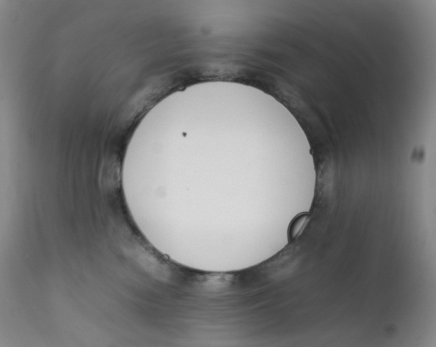 X0000112170474200909041155