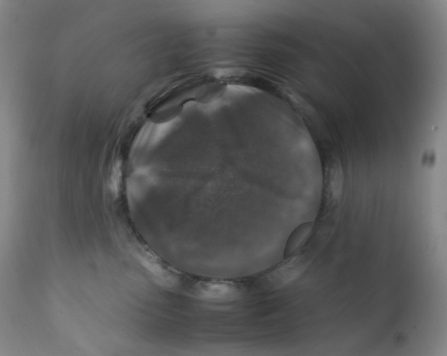 X0000112170475200909041155