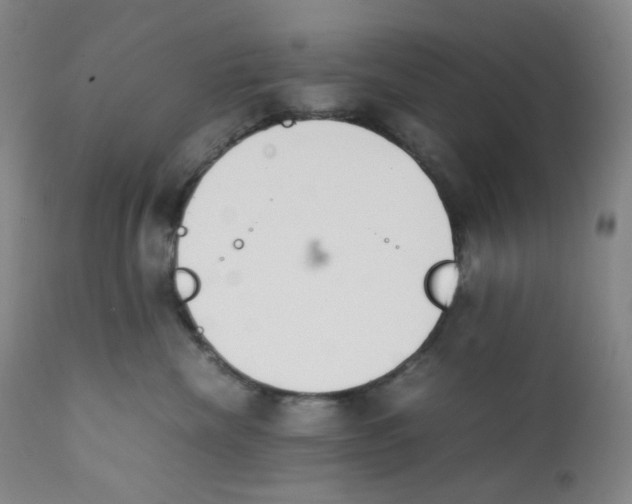 X0000112170476200909041155