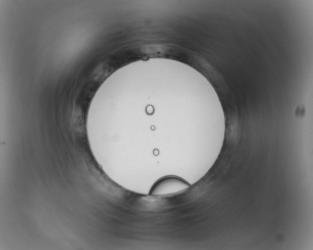 X0000112170477200909041155