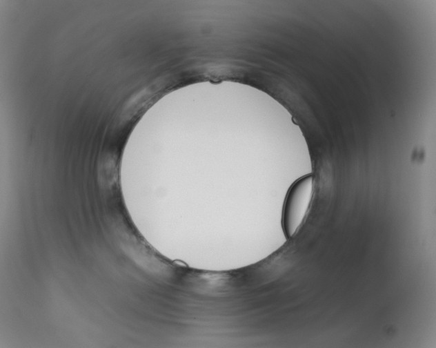 X0000112170478200909041155