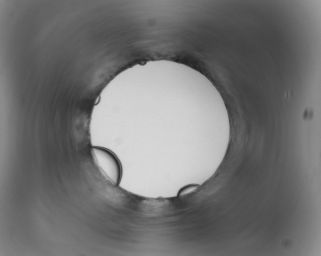 X0000112170480200909041155