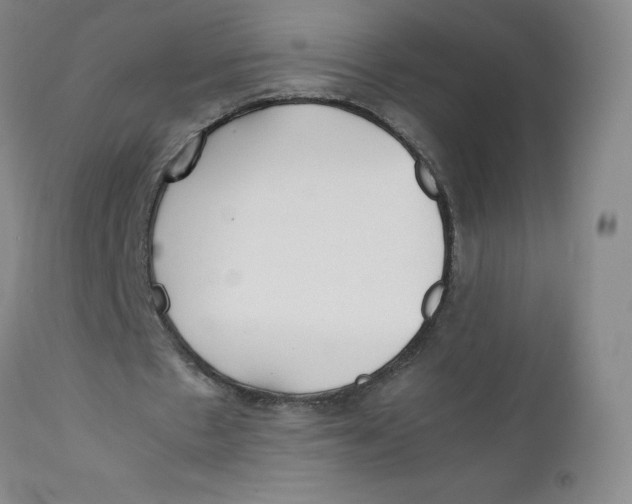 X0000112170481200909041155