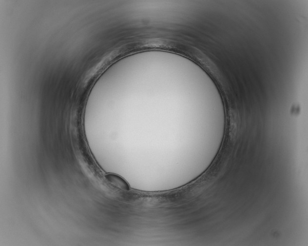 X0000112170482200909041155