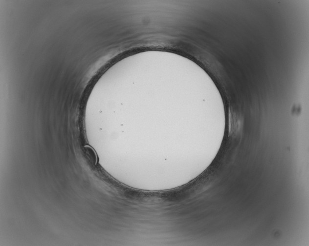 X0000112170483200909041155