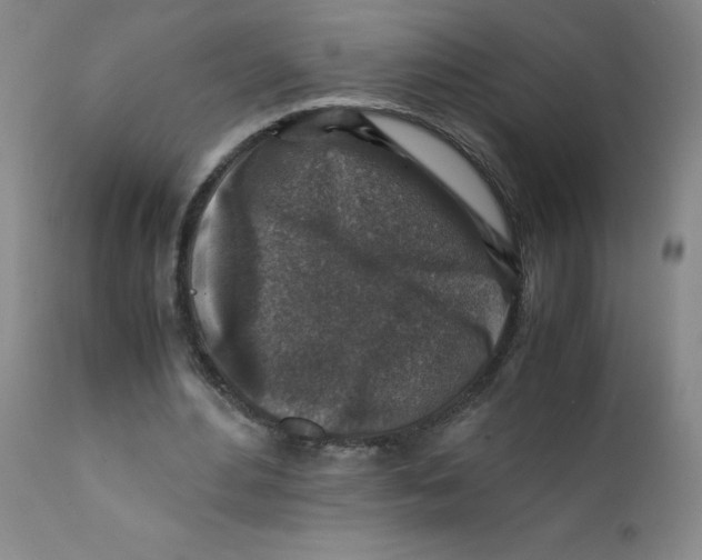 X0000112170484200909041155