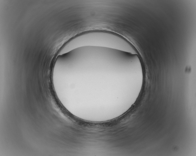 X0000112170485200909041155