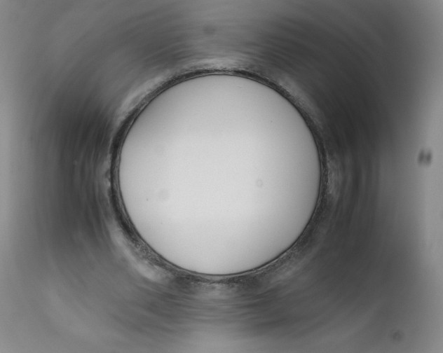 X0000112170486200909041155