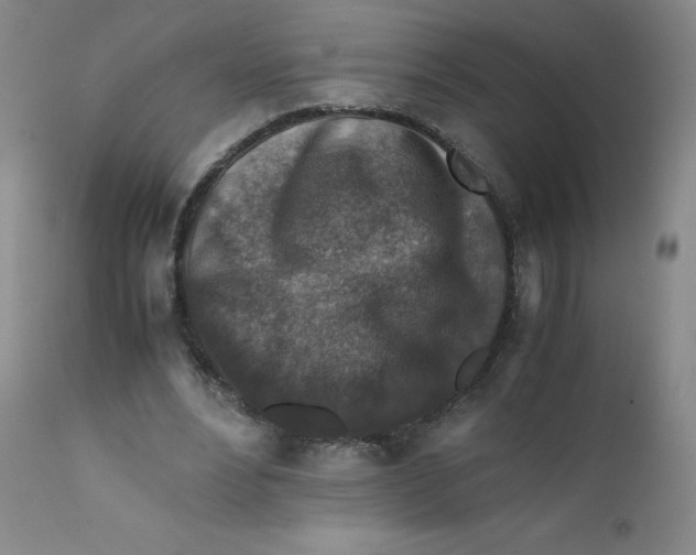 X0000112170488200909041155