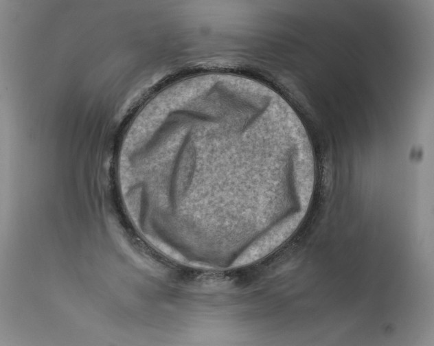 X0000112170491200909041154