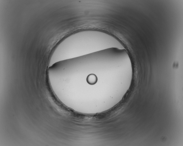 X0000112170493200909041154