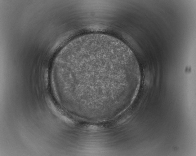 X0000112170494200909041154