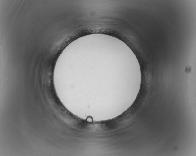 X0000112170499200909041154