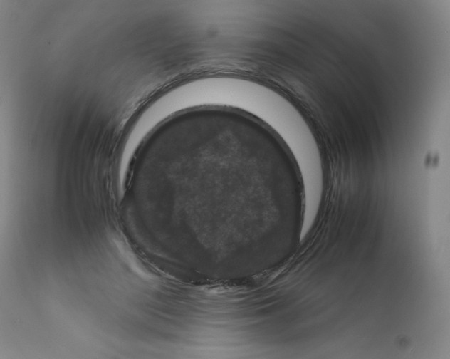 X0000112170500200909041154