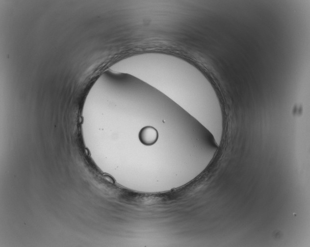 X0000112170501200909041154