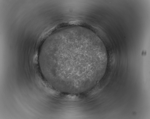 X0000112170502200909041154