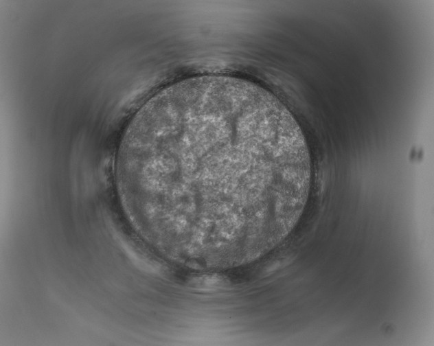 X0000112170503200909041154