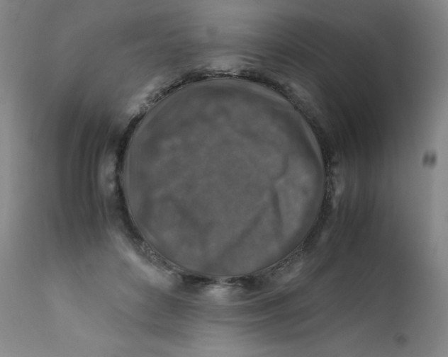 X0000112170504200909041154