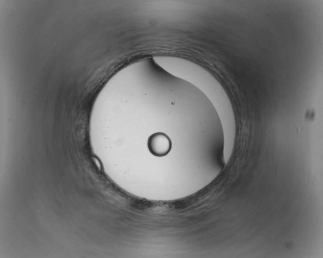 X0000112170505200909041154