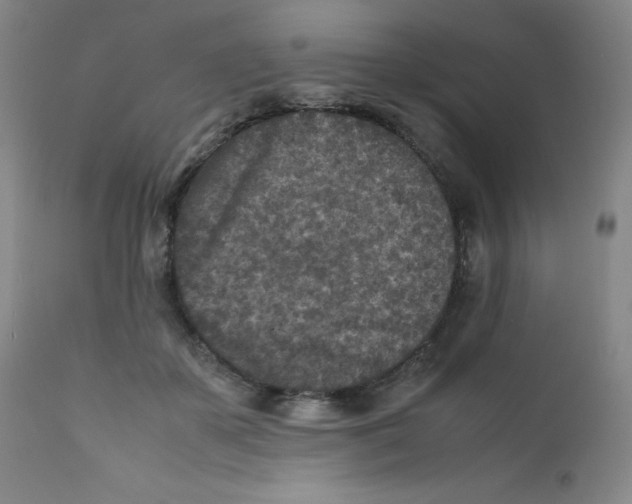 X0000112170507200909041154