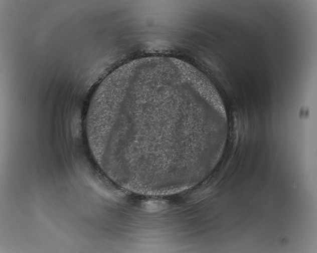 X0000112170508200909041154