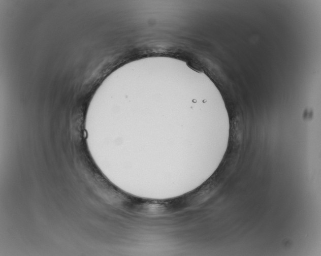 X0000112170509200909041154