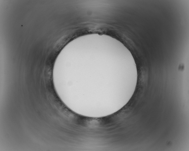 X0000112170513200909041154