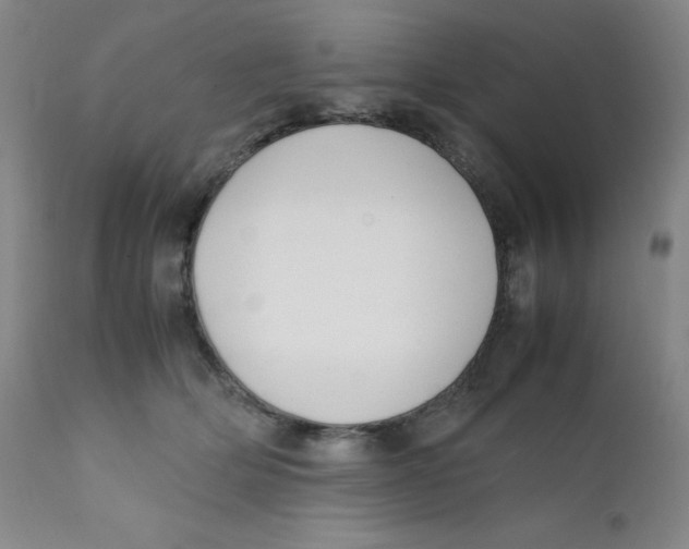 X0000112170514200909041154