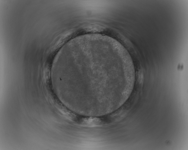 X0000112170517200909041154