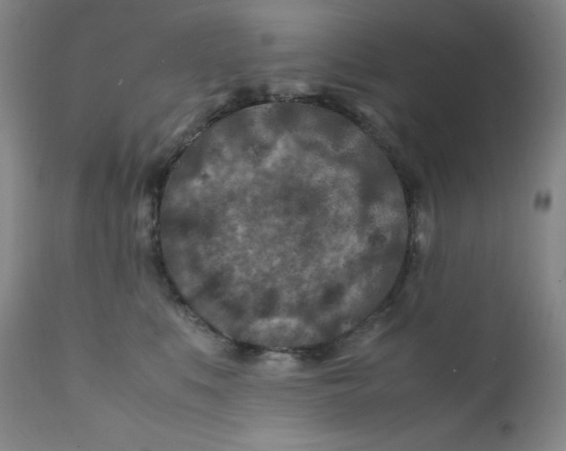 X0000112170519200909041154