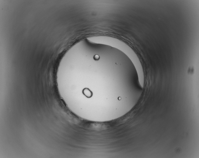 X0000112170520200909041154