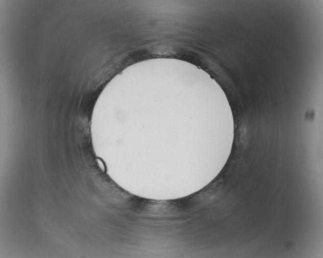 X0000112170521200909041154