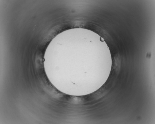 X0000112170522200909041154