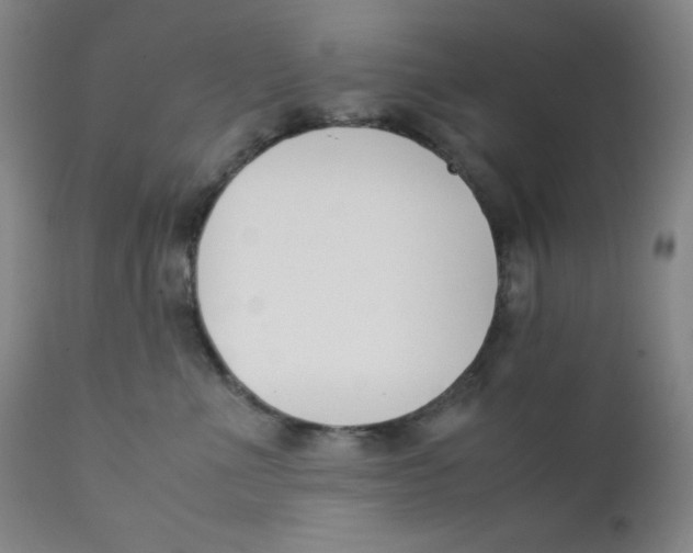 X0000112170523200909041154