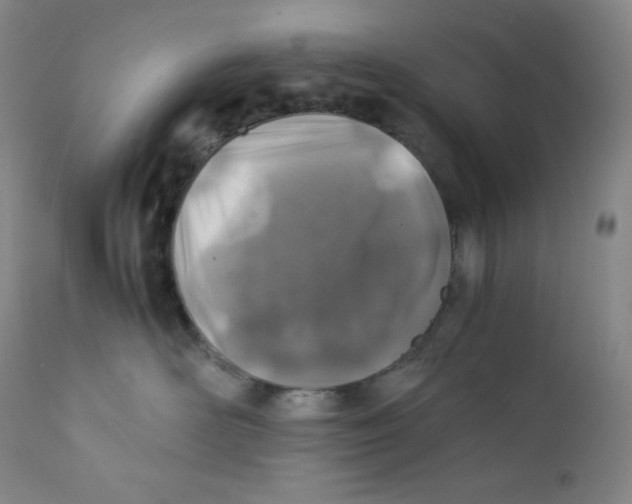 X0000112170526200909041154