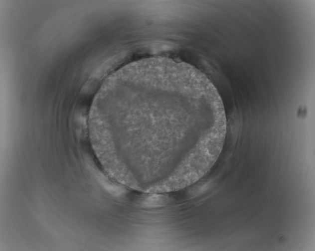 X0000112170527200909041154