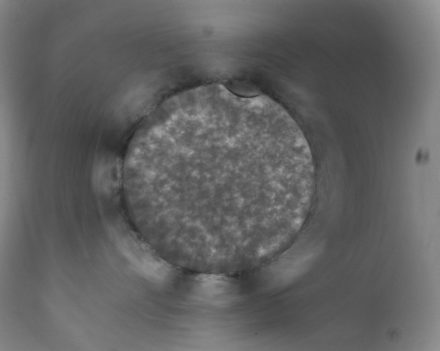 X0000112170528200909041154