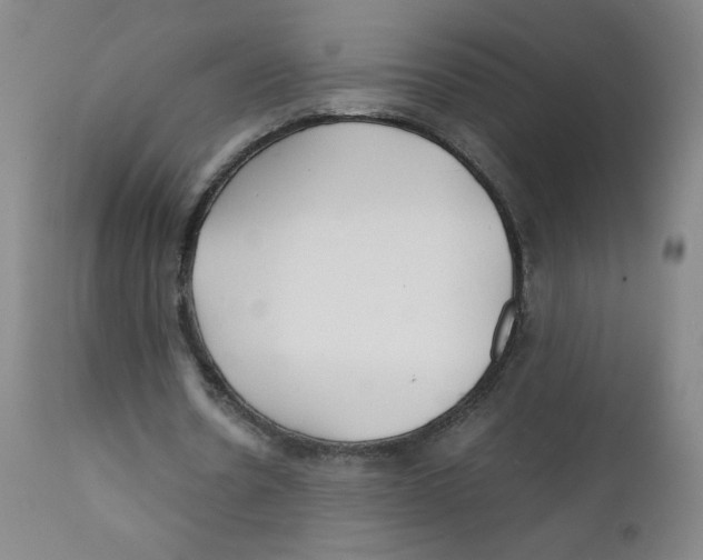 X0000112170530200909041153