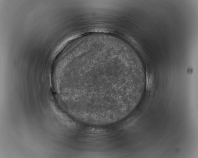 X0000112170531200909041153