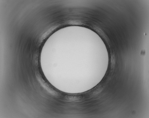 X0000112170533200909041153