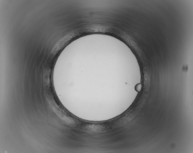 X0000112170537200909041153