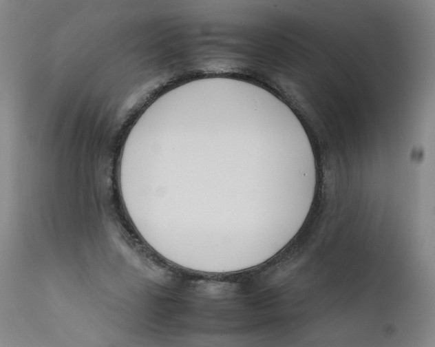 X0000112170539200909041153