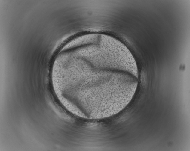 X0000112170540200909041153