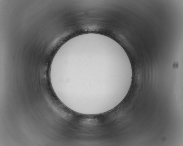 X0000112170543200909041153