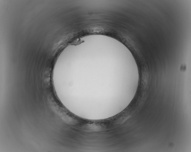 X0000112170545200909041153