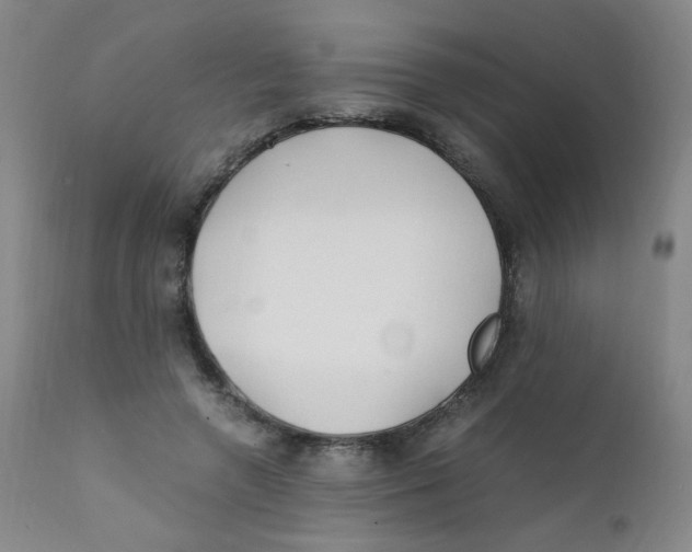 X0000112170546200909041153